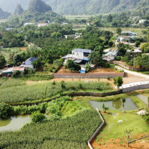 Hơn 1.4ha giá chỉ 6 tỷ